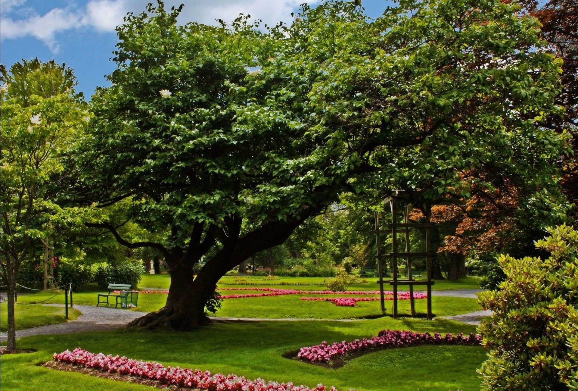 parcs arbre jardin feuille parc nature paysage herbe à l extérieur pelouse fleur été flore bois banc saison environnement luxuriante beau temps scénique