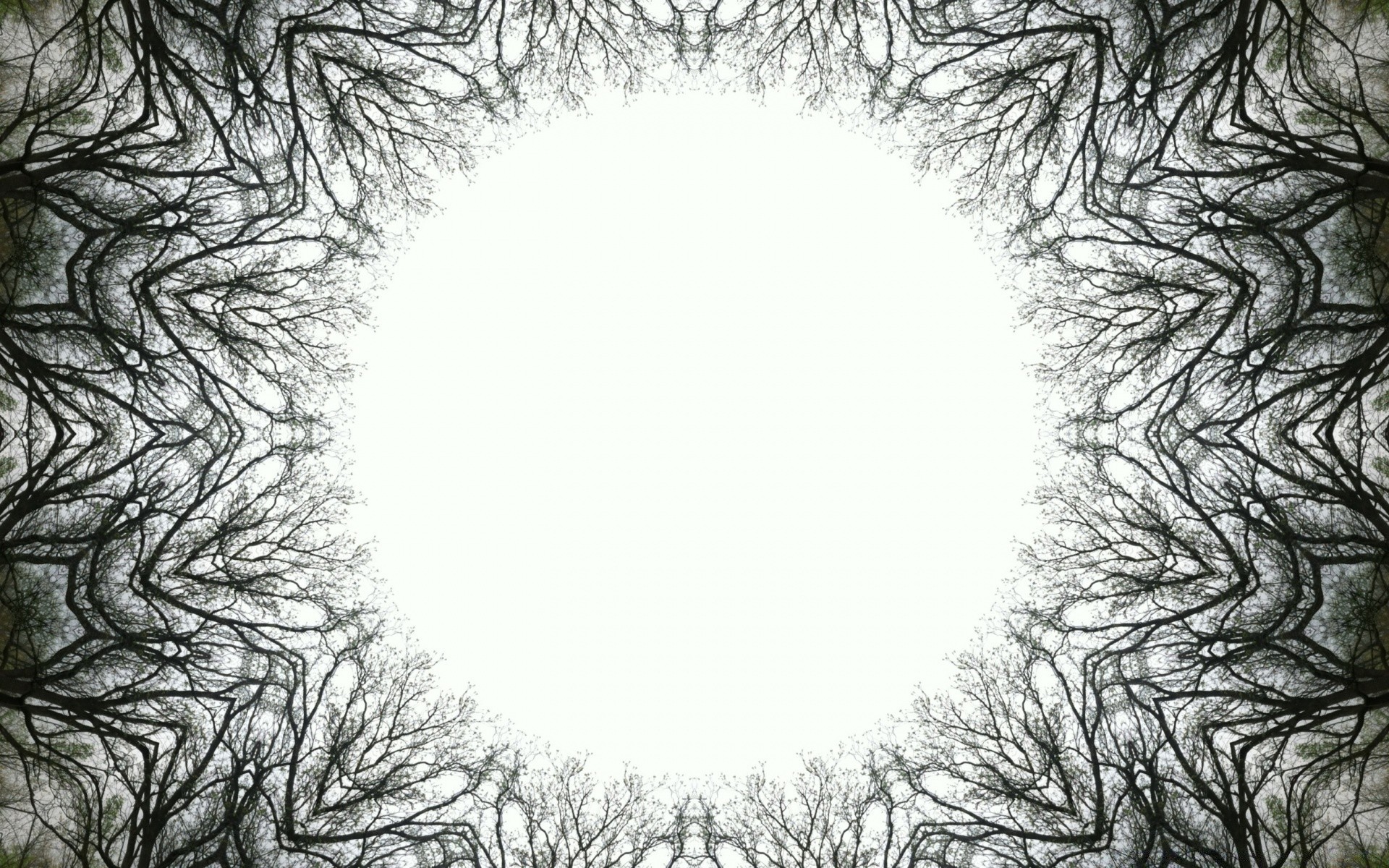 création illustration résumé art hiver bureau conception modèle texture graphique neige vecteur élément
