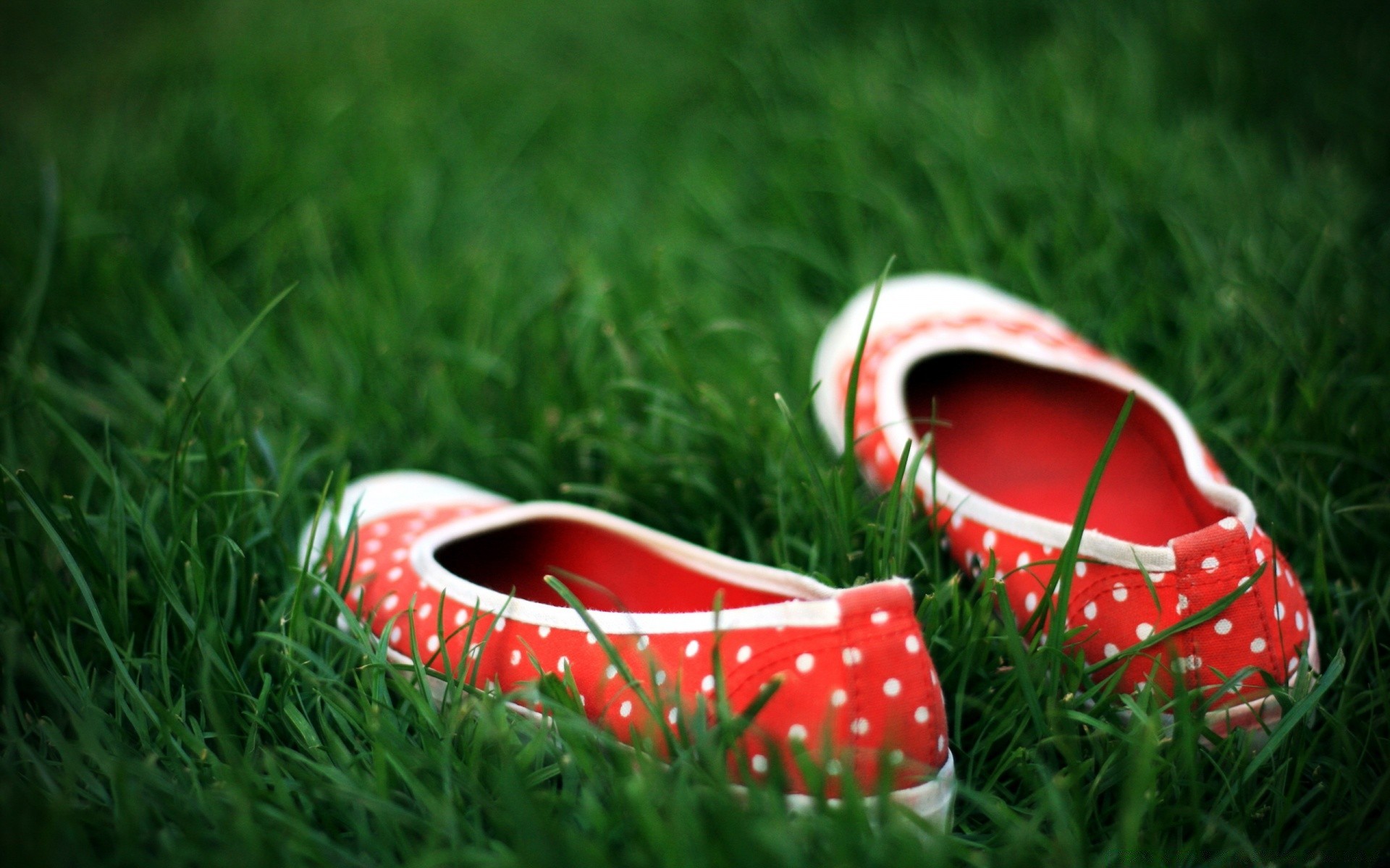 création herbe été champ cuir couleur pelouse loisirs chaussure à l extérieur deux foin loisirs gros plan couple nature