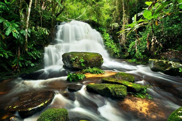 Obstacles à la cascade dans la forêt, pas de problème