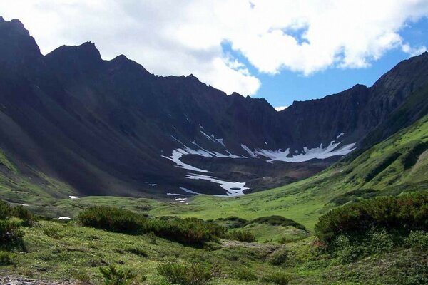 Belles montagnes et clairière verte