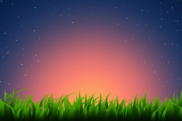 Dessin graphique de l herbe sur fond de coucher de soleil
