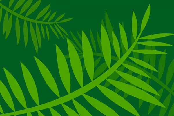 Feuilles vertes sur fond vert foncé, graphisme vectoriel
