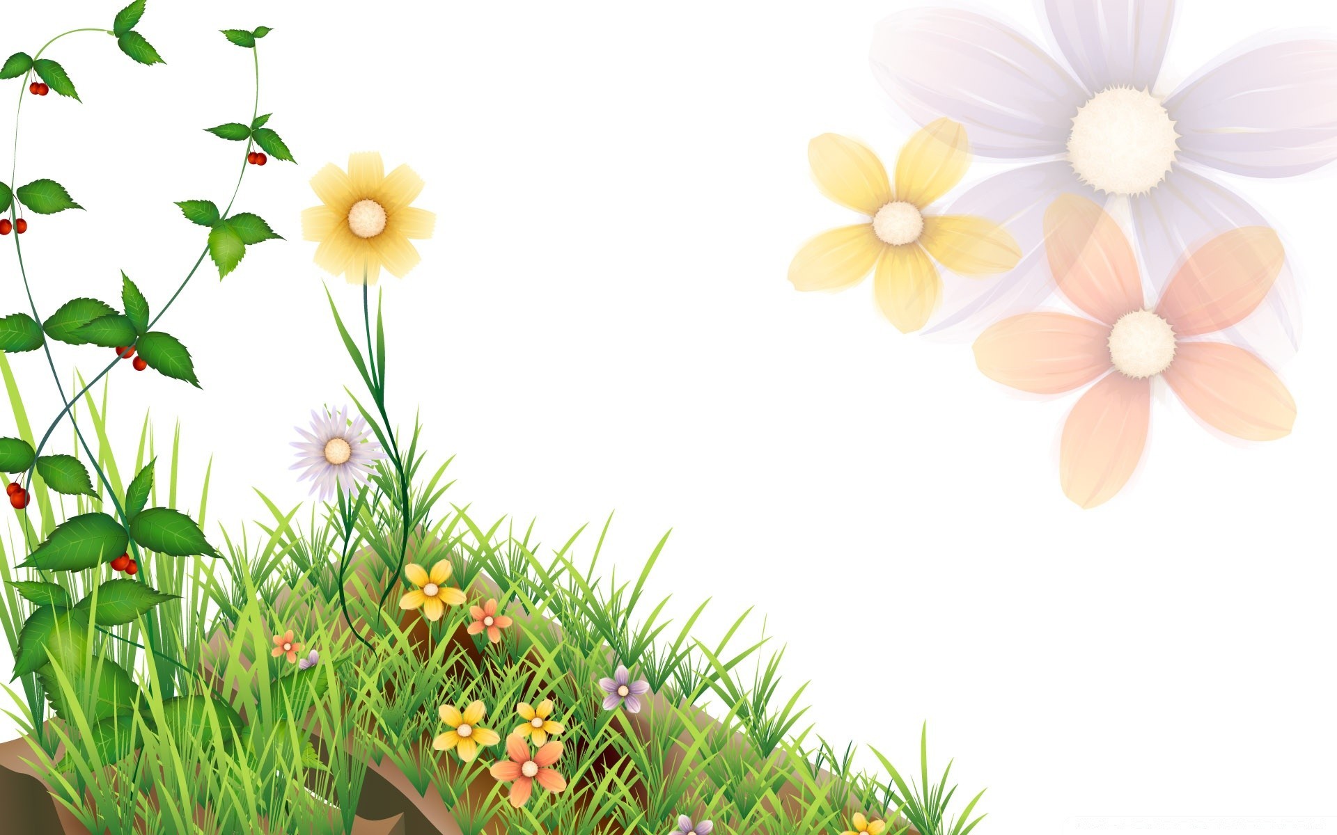 graphisme vectoriel fleur nature été flore feuille jardin floral pétale bluming herbe couleur lumineux bureau soleil belle croissance beau temps