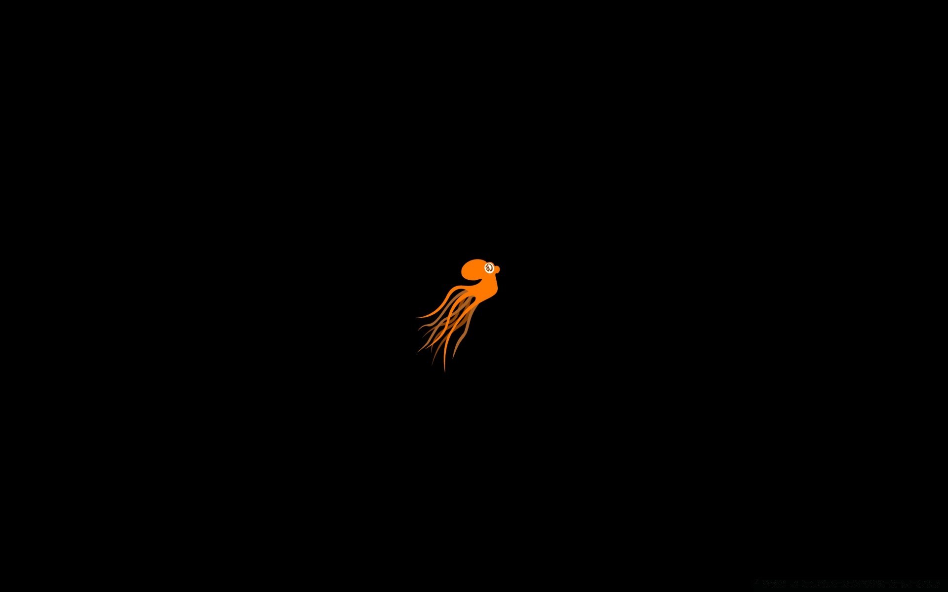 graphisme vectoriel faune oiseau un art vue de côté mouche animal lune