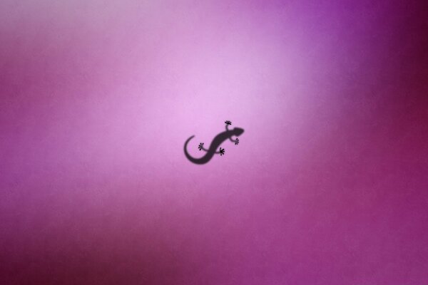 Silhouette d une salamandre. Fond rose. L ombre de la salamandre. Graphique