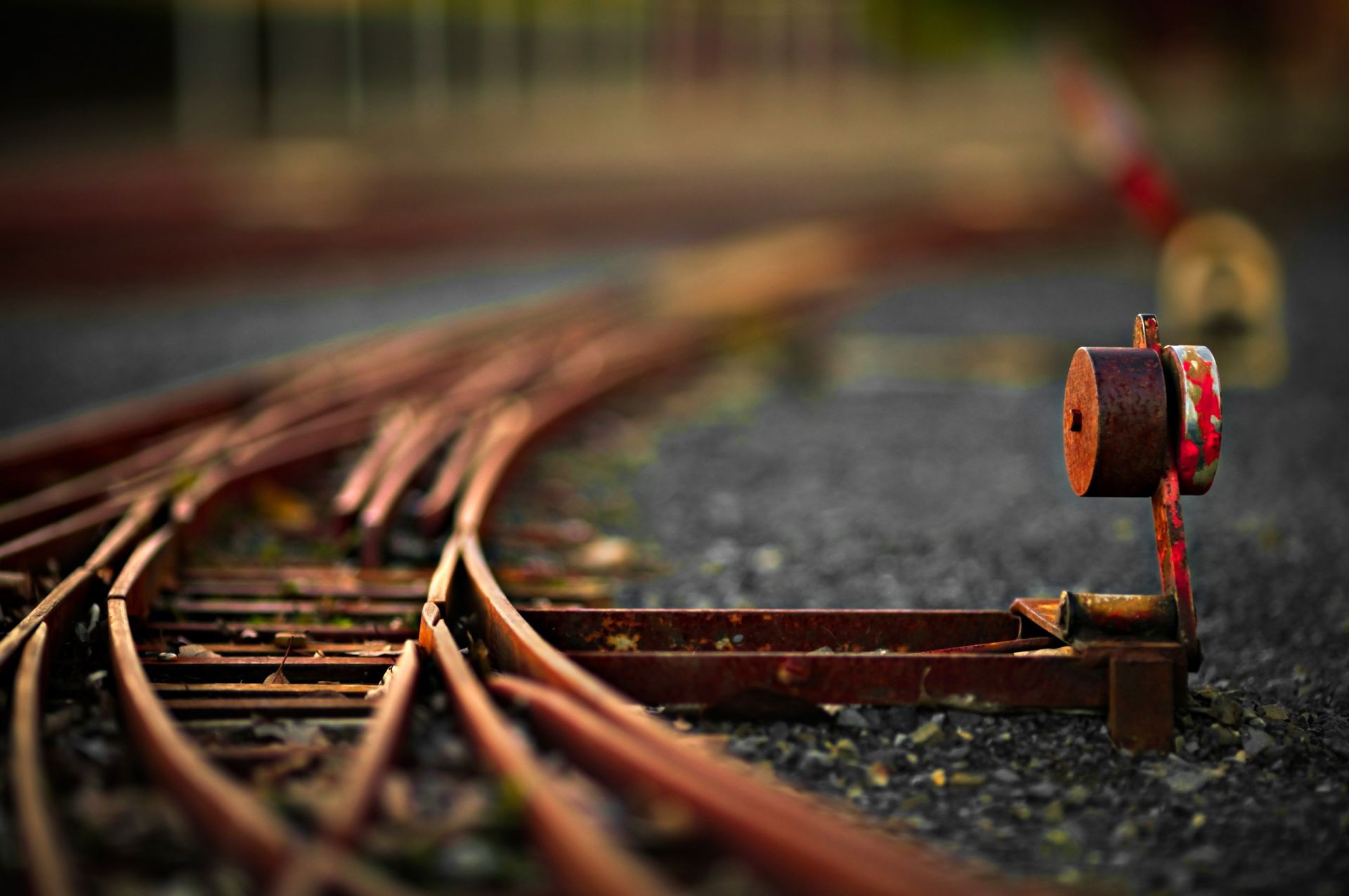 route flou rue bois voyage nature morte train dof à l extérieur