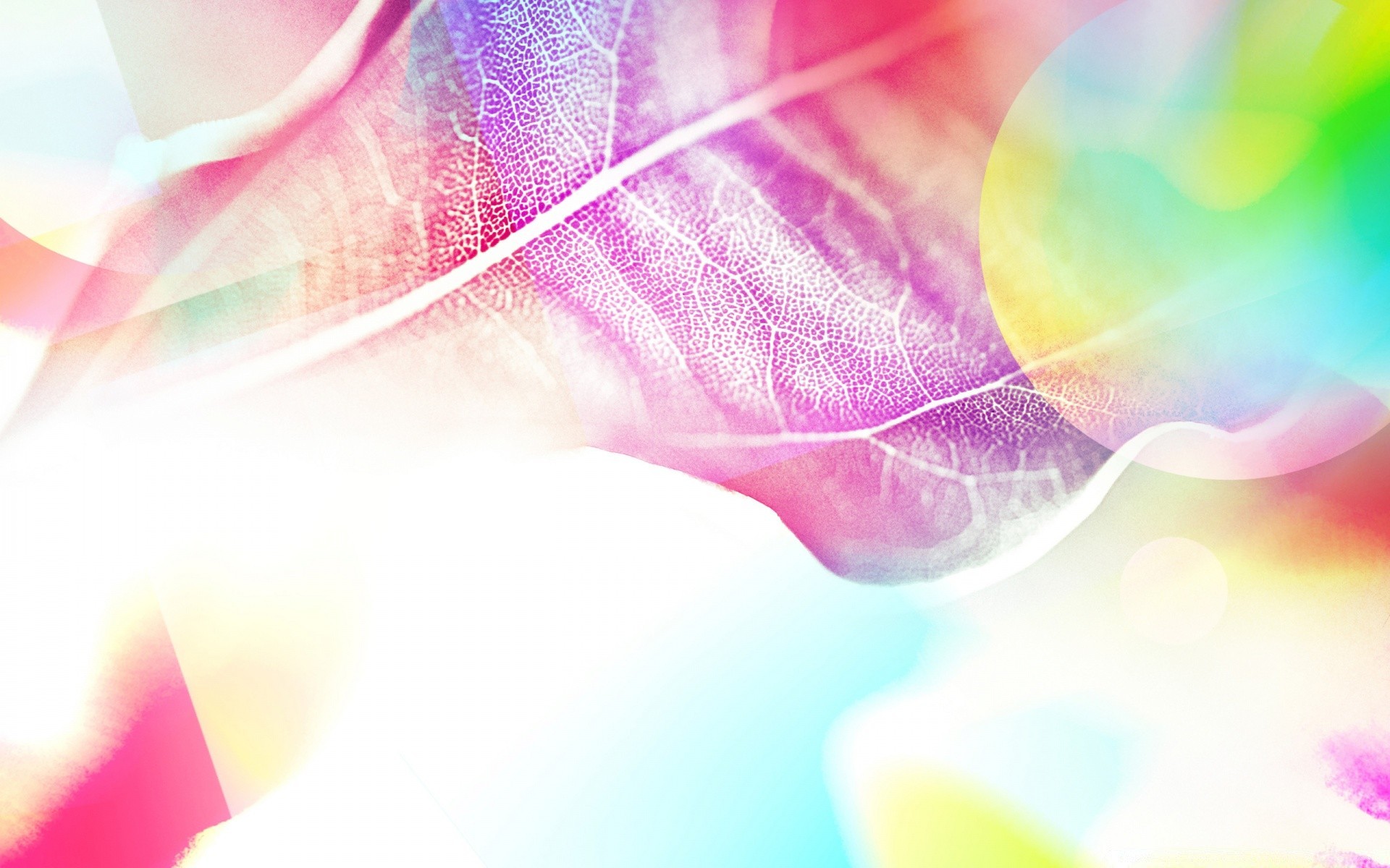 couleurs vives résumé couleur flou art lumineux conception lumière fond illustration bureau papier peint décoration brille artistique texture arc en ciel graphique élément futuriste lumineux