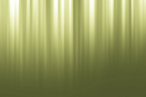 Couleur vert marais adaptée aux rideaux