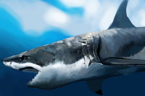 Requin effrayant avec de grandes dents