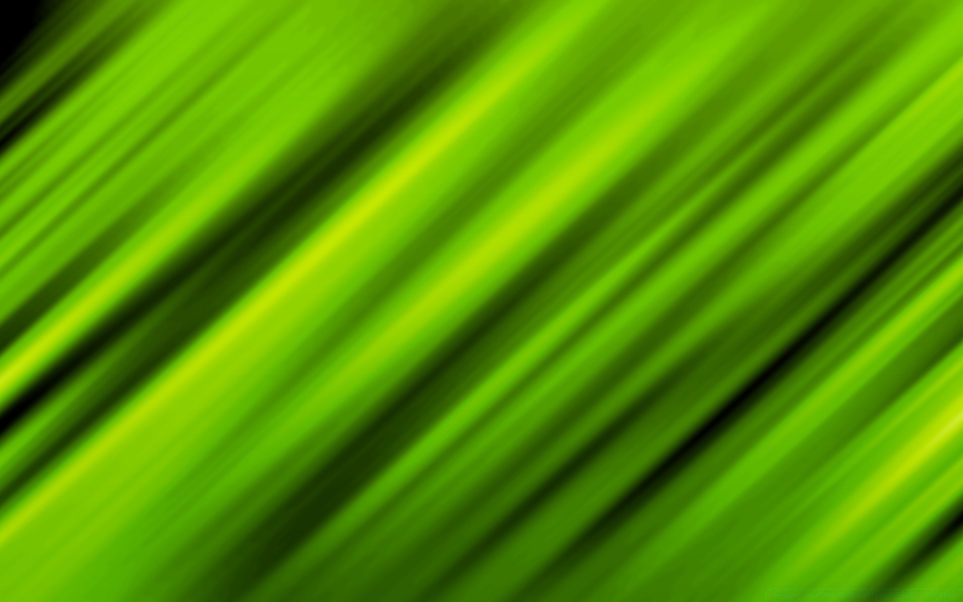 abstrait feuille lumineux flore couleur texture papier peint bureau lumière artistique brille art luxuriante nature conception croissance photosynthèse jardin modèle