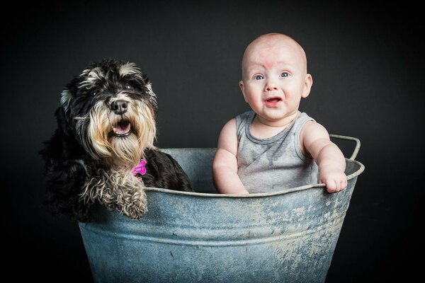 Les amis ne renversent pas l eau, le bébé et le chien