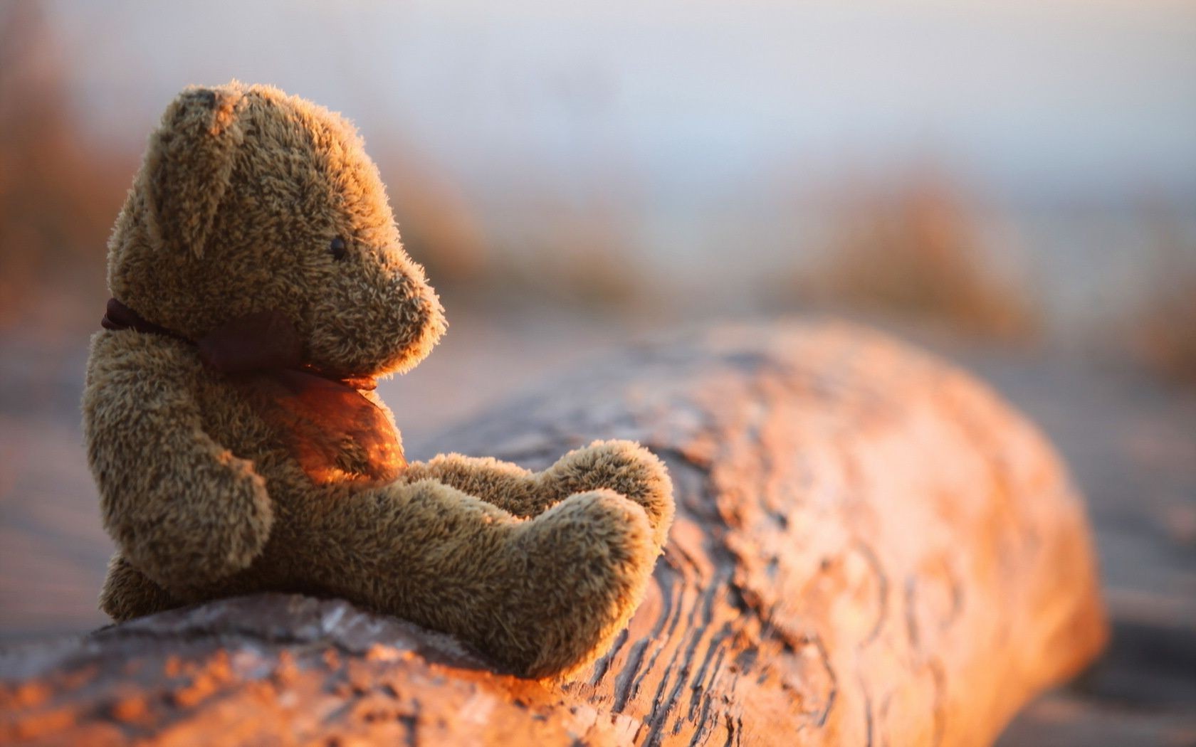 nature de plein air nourriture