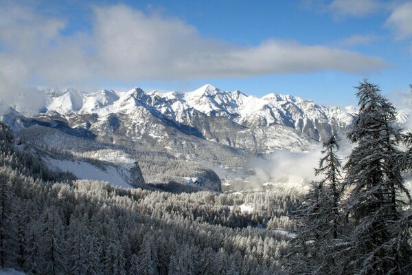 Montagnes enneigées et forêt d hiver