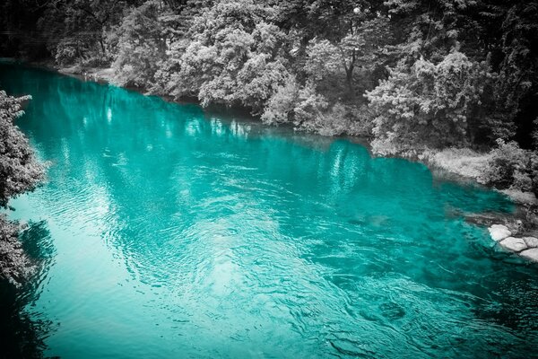 Vacances eau bleue sous l eau