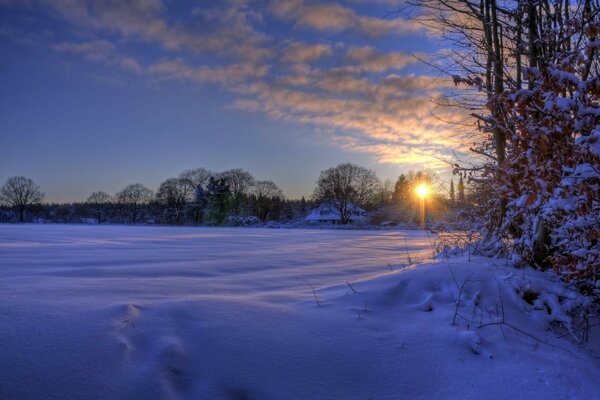 Coucher de soleil froid dans la forêt d hiver