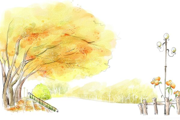 Matin dans le parc venteux d automne