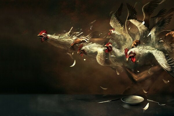 Poulet volaille coqs fantaisie