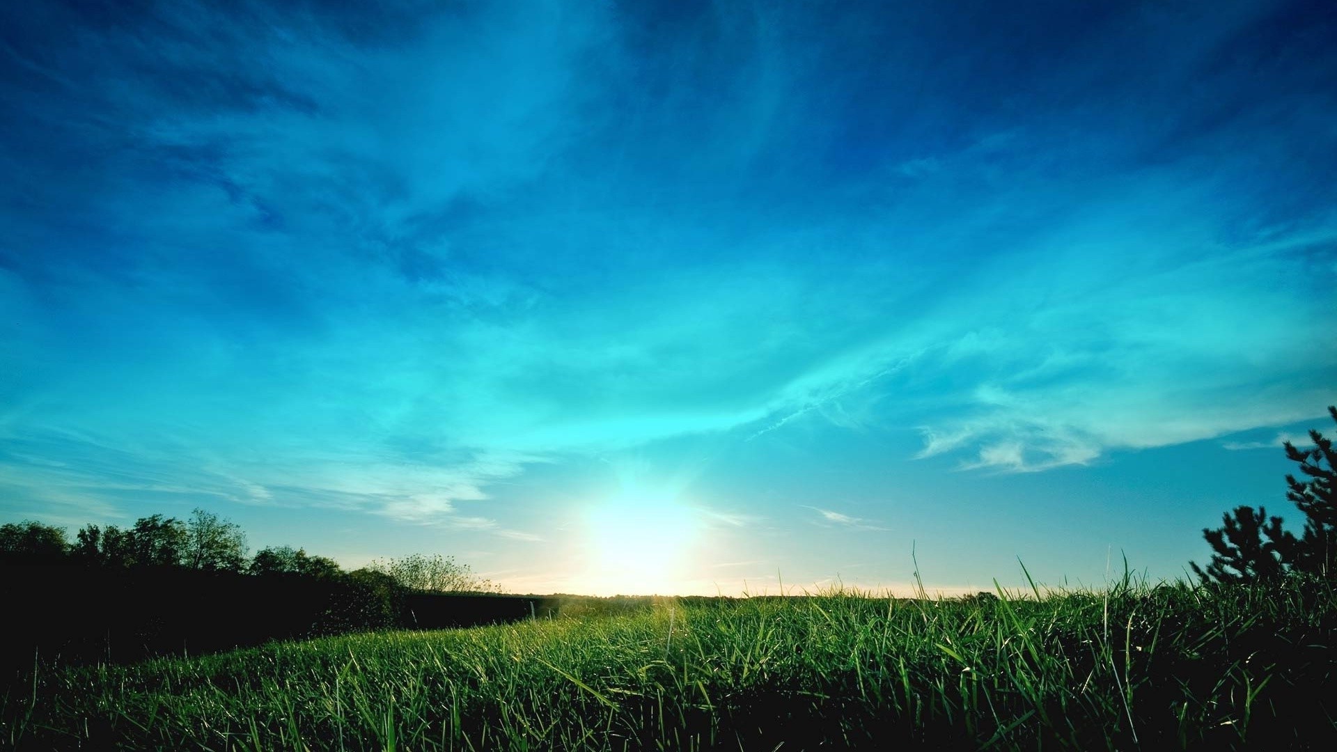 été nature ciel soleil herbe paysage à l extérieur aube beau temps rural champ coucher de soleil campagne lumineux lumière météo idylle pâturage