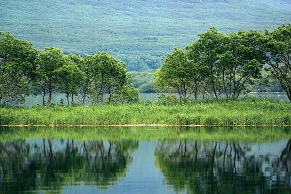 Nature. Les eaux des étangs et des ruisseaux