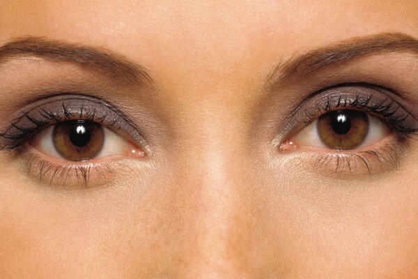 Yeux dans les yeux, regard ouvert