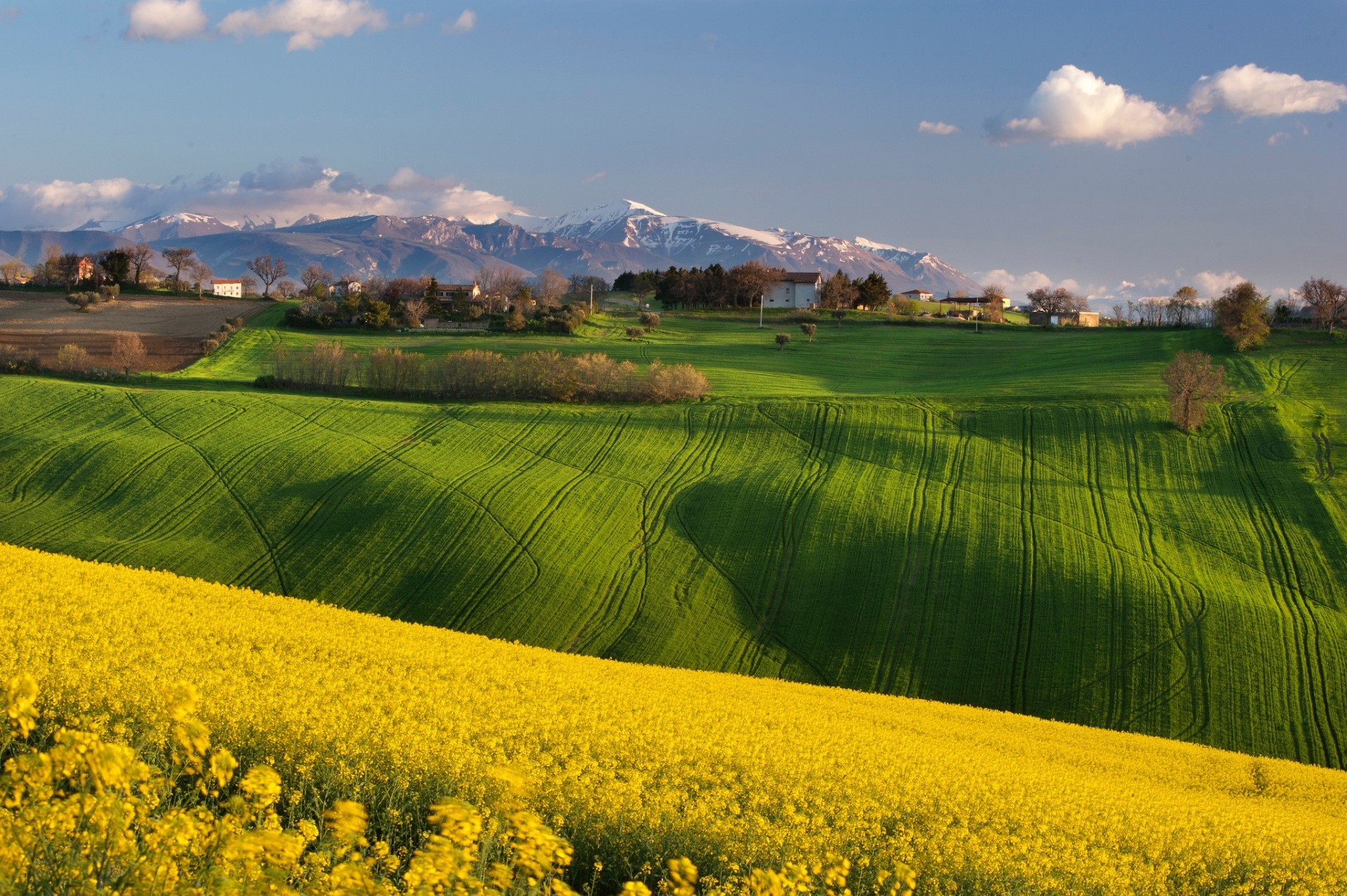 champs prairies et vallées paysage champ agriculture rural nature campagne ciel ferme été pays herbe arbre récolte terres agricoles soleil à l extérieur scénique