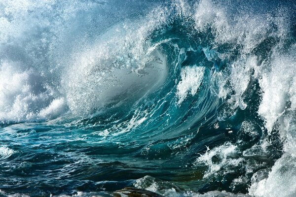 Surf marin sur la côte du Pacifique