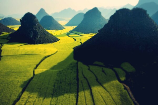 Photo du champ jaune parmi les montagnes
