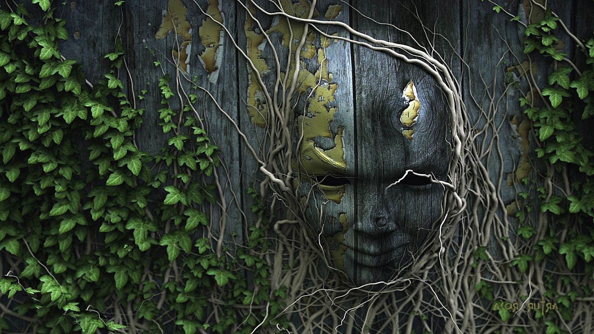 bois bois nature feuille bureau vieux