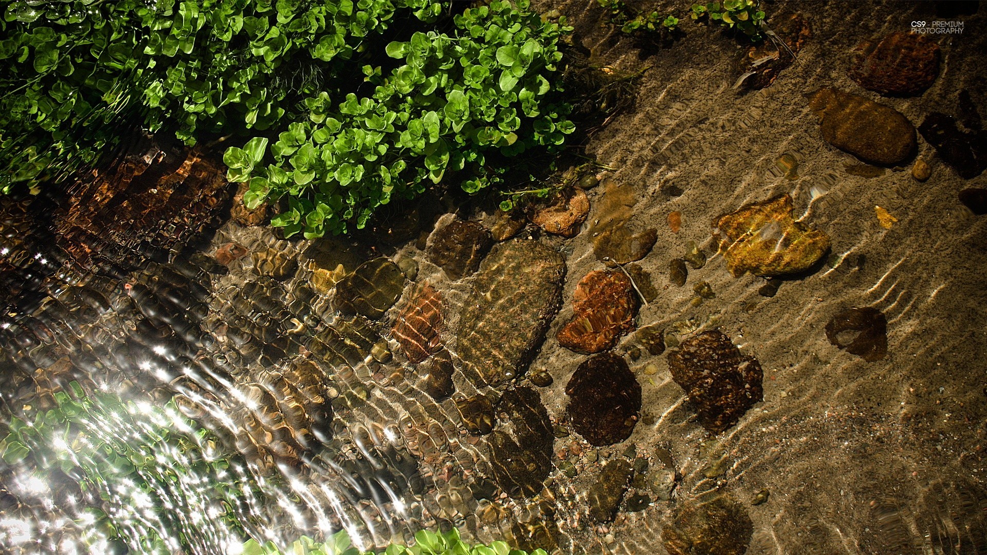 gouttelettes d eau nature eau pierre rock bureau