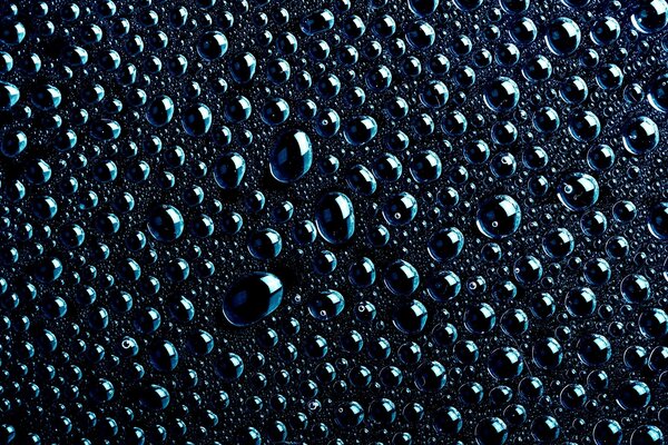 Gouttes de rosée après la pluie