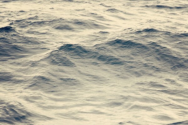 Vagues de la mer dans des tons argentés