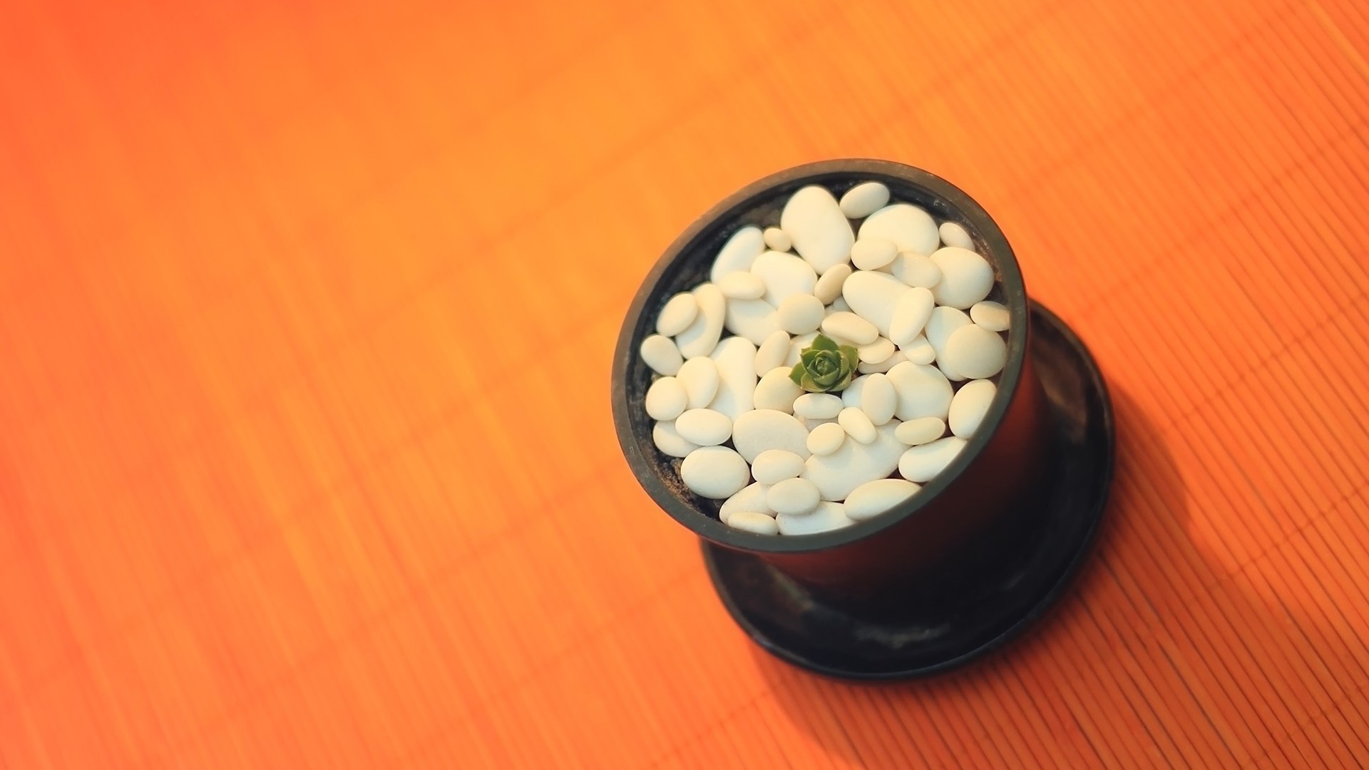 alimentaire médecine bureau santé bol bois nature morte en bonne santé