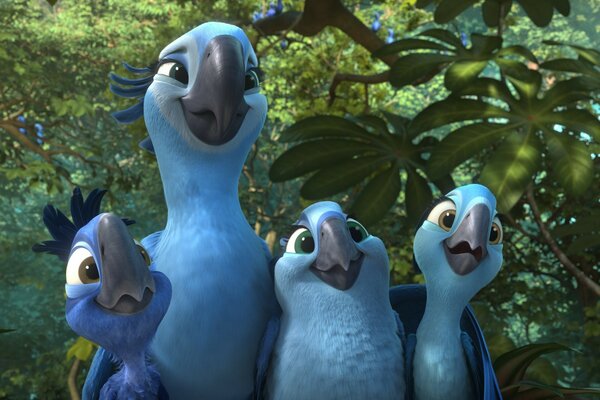Perroquets de dessin animé de la faune du zoo