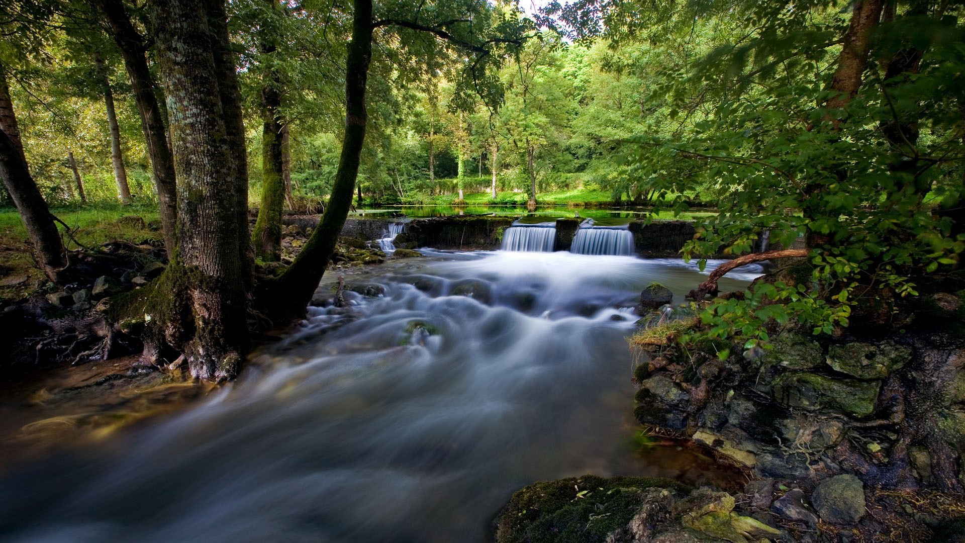 cascades eau rivière bois cascade ruisseau nature automne feuille paysage ruisseau arbre mousse à l extérieur cascade parc - rapids humide rock photographie