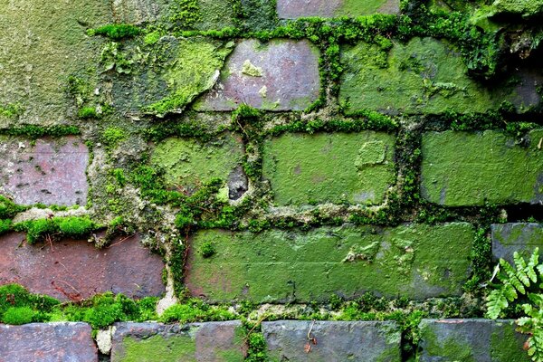 Fond d écran mur de béton