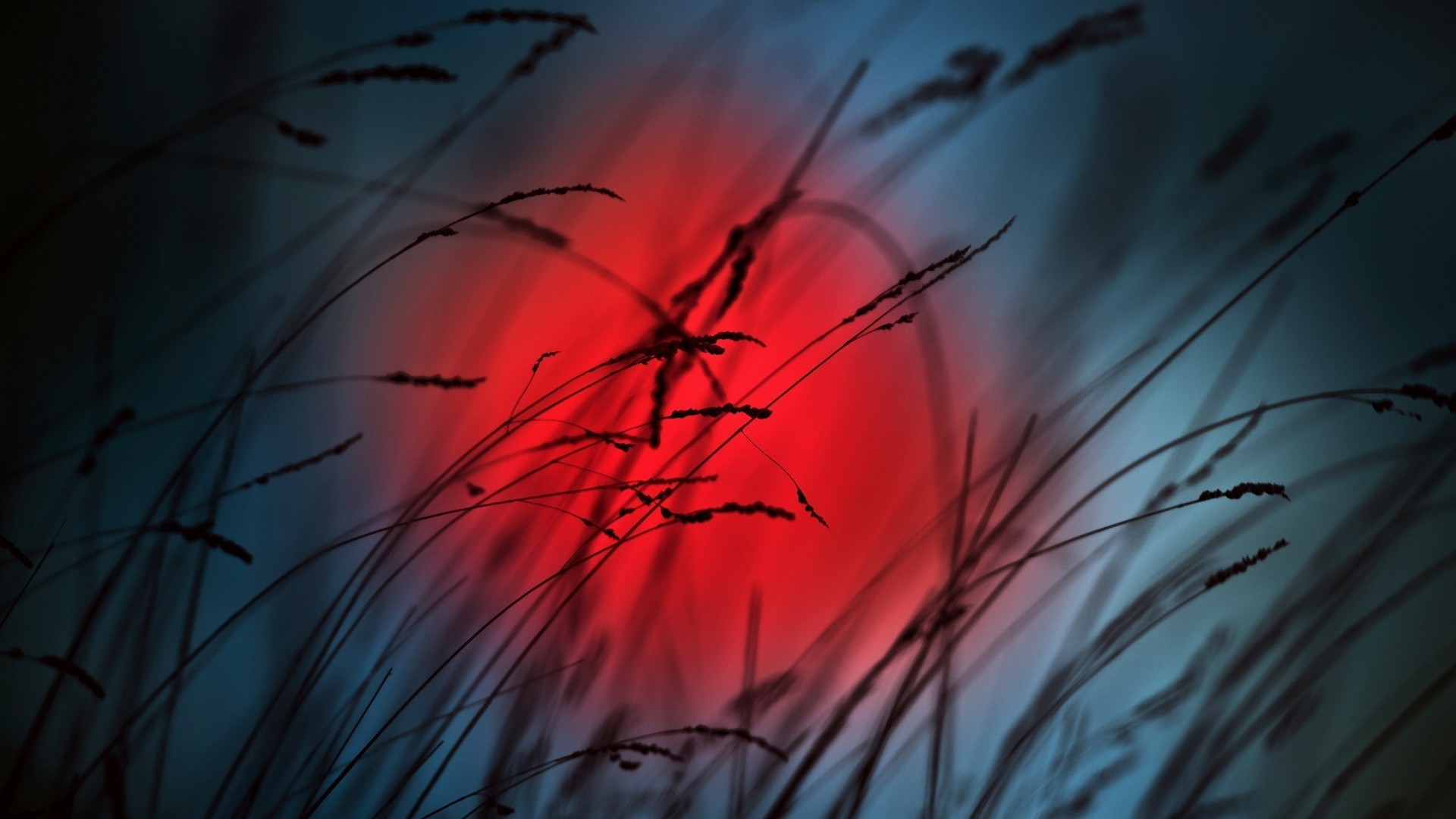 couleurs vives nature soleil art abstraite aube