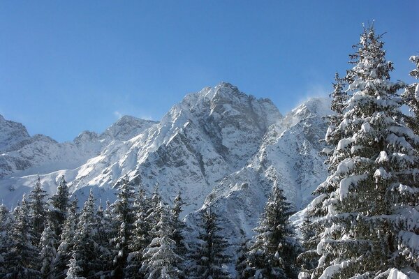 Conte d hiver dans les montagnes avec la forêt