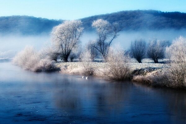 Paysage d hiver: étangs, ruisseaux et arbres