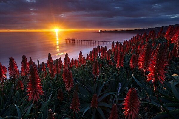 Paysages de nuit et de jour: coucher de soleil et aube