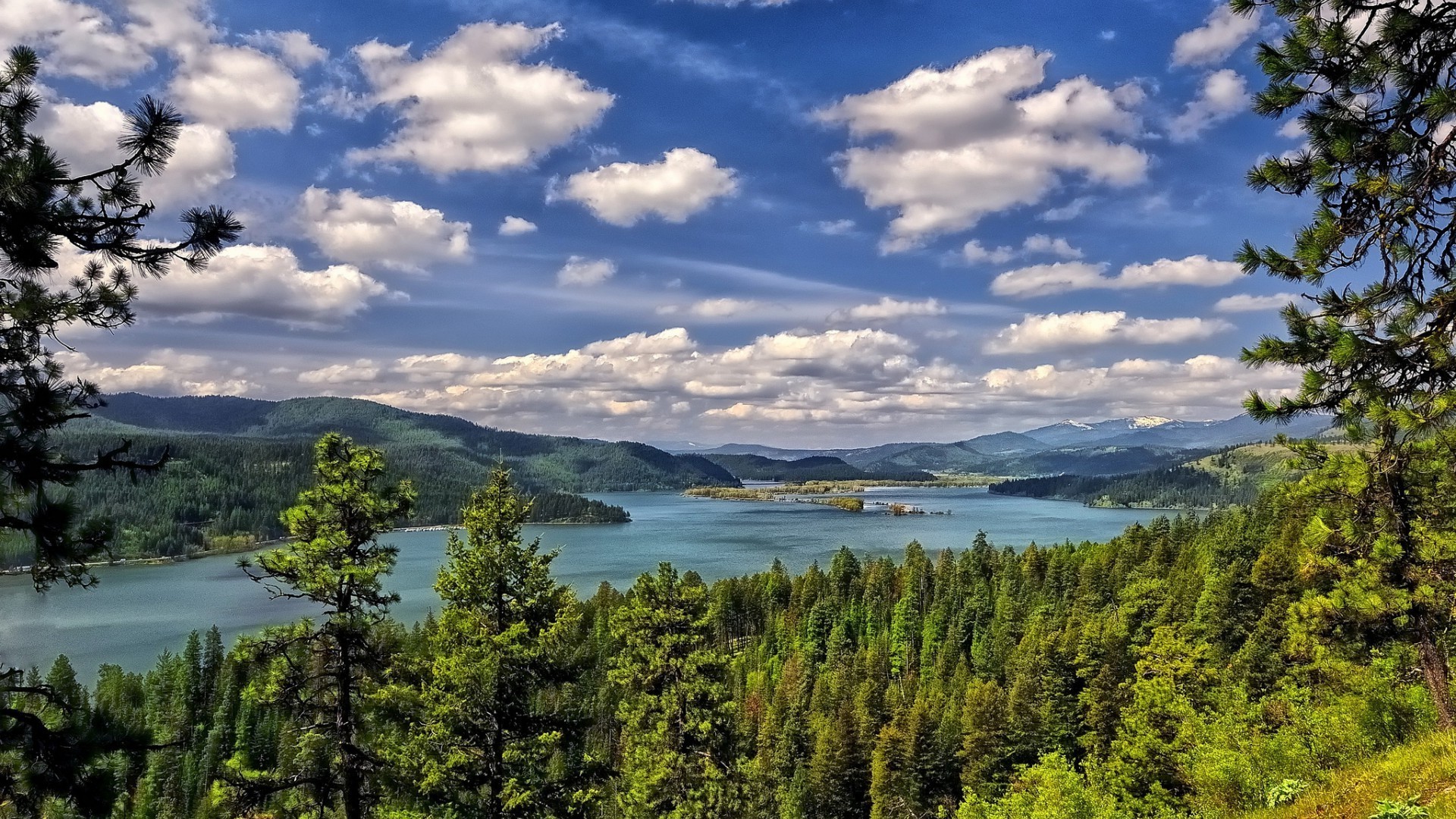 rivières étangs et ruisseaux étangs et ruisseaux eau nature à l extérieur paysage voyage ciel arbre lac bois été scénique lumière du jour montagnes conifères beau temps