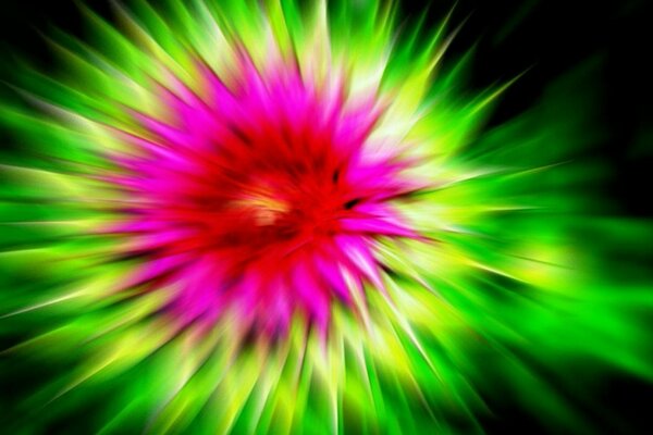 Image floue d une fleur de bardane, vive mais bardane sur un simple
