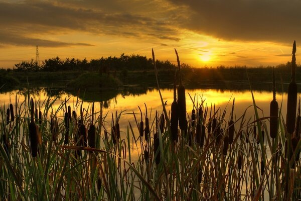 Beau et juteux coucher de soleil sur l eau