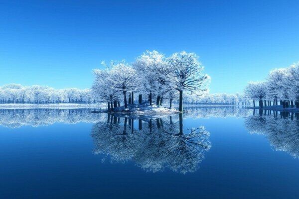 La nature est partie en hibernation. Les gelées sont venues