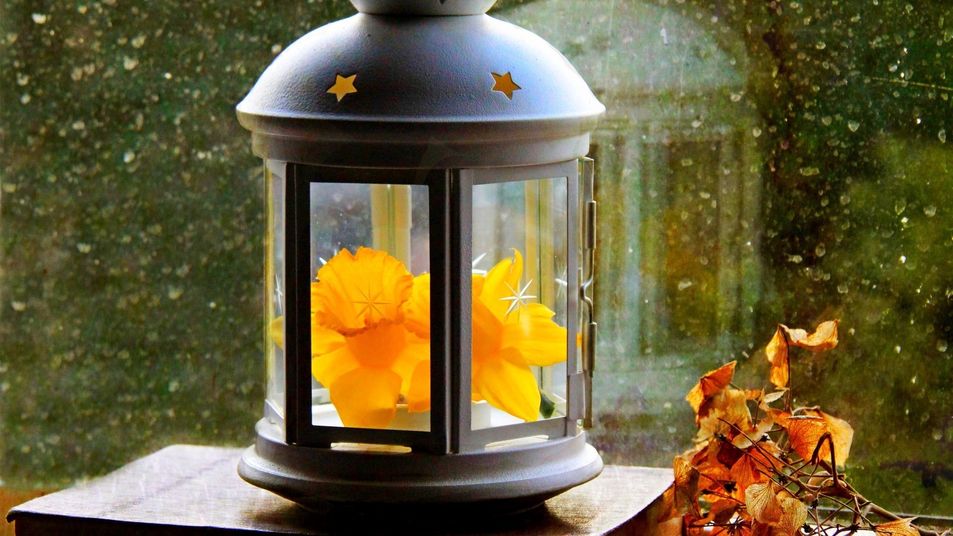 feuilles fleur bois lanterne table décoration lumière lumière du jour