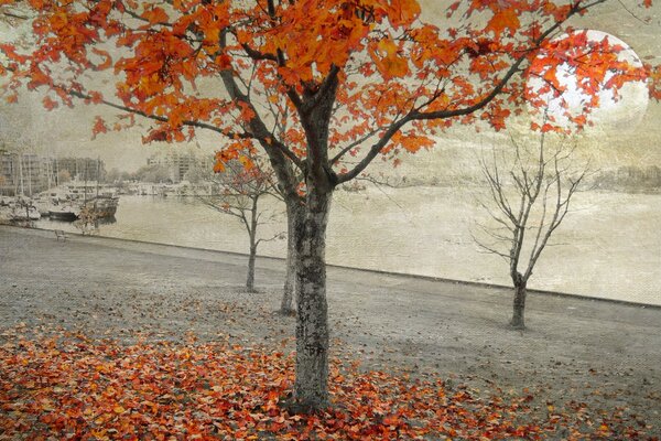Automne feuille automne paysage Halloween