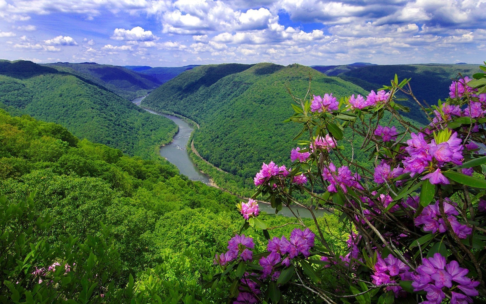 rivières étangs et ruisseaux étangs et ruisseaux nature paysage à l extérieur montagnes été voyage bois bois environnement