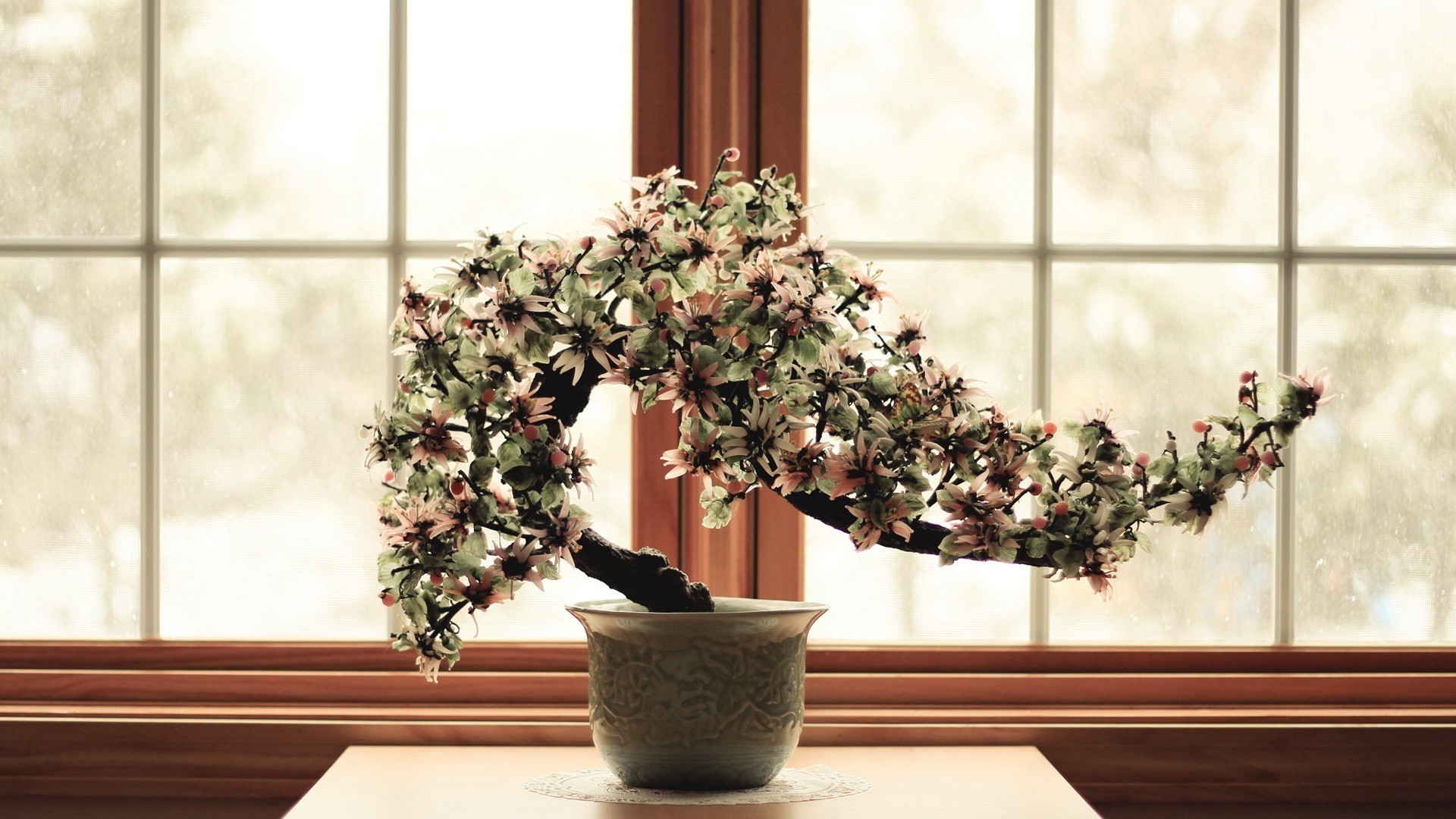 fleurs dans les arbres fenêtre pot fleur intérieur maison plante d intérieur vase flore pot meubles jardin décoration patio design d intérieur chambre famille feuille verre planteur