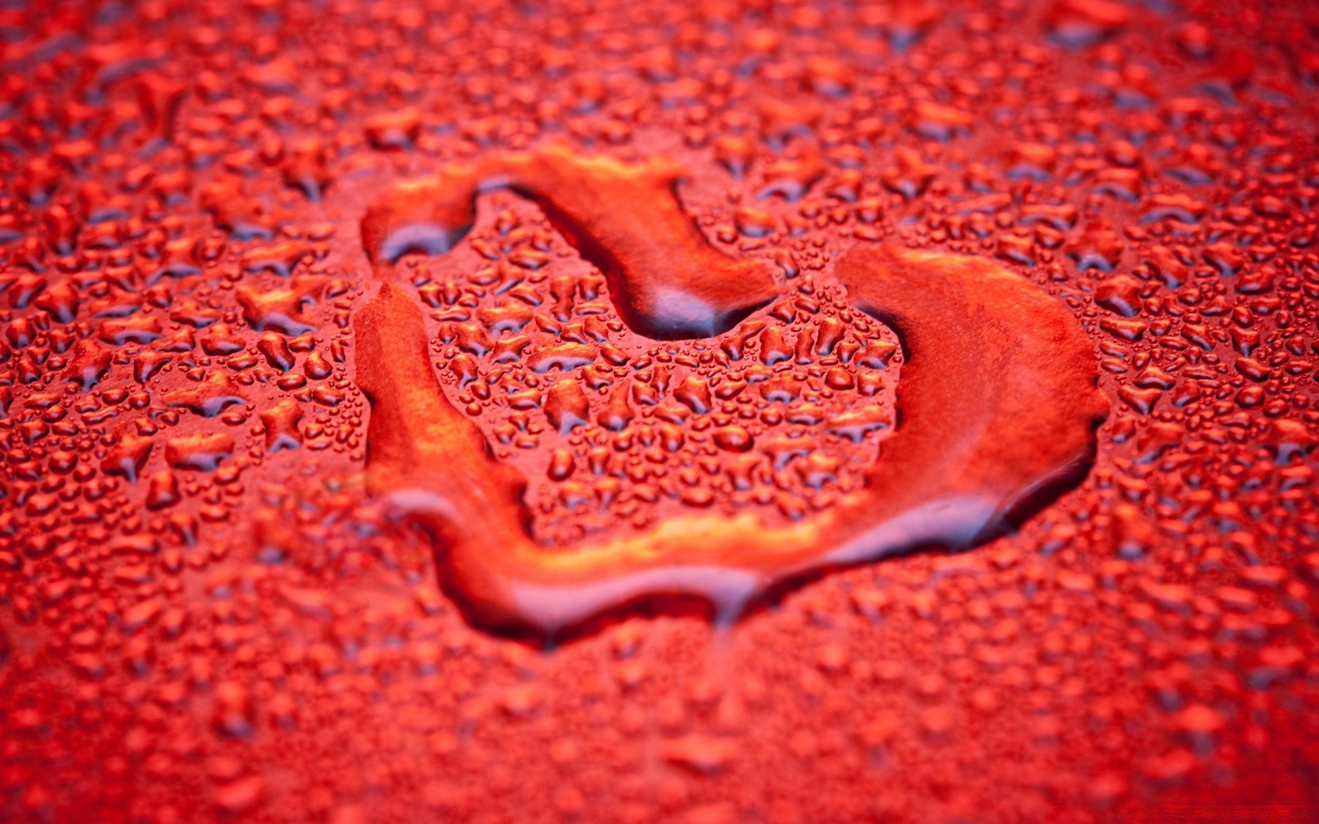 saint valentin bureau alimentaire texture gros plan résumé modèle coeur couleur formes humide