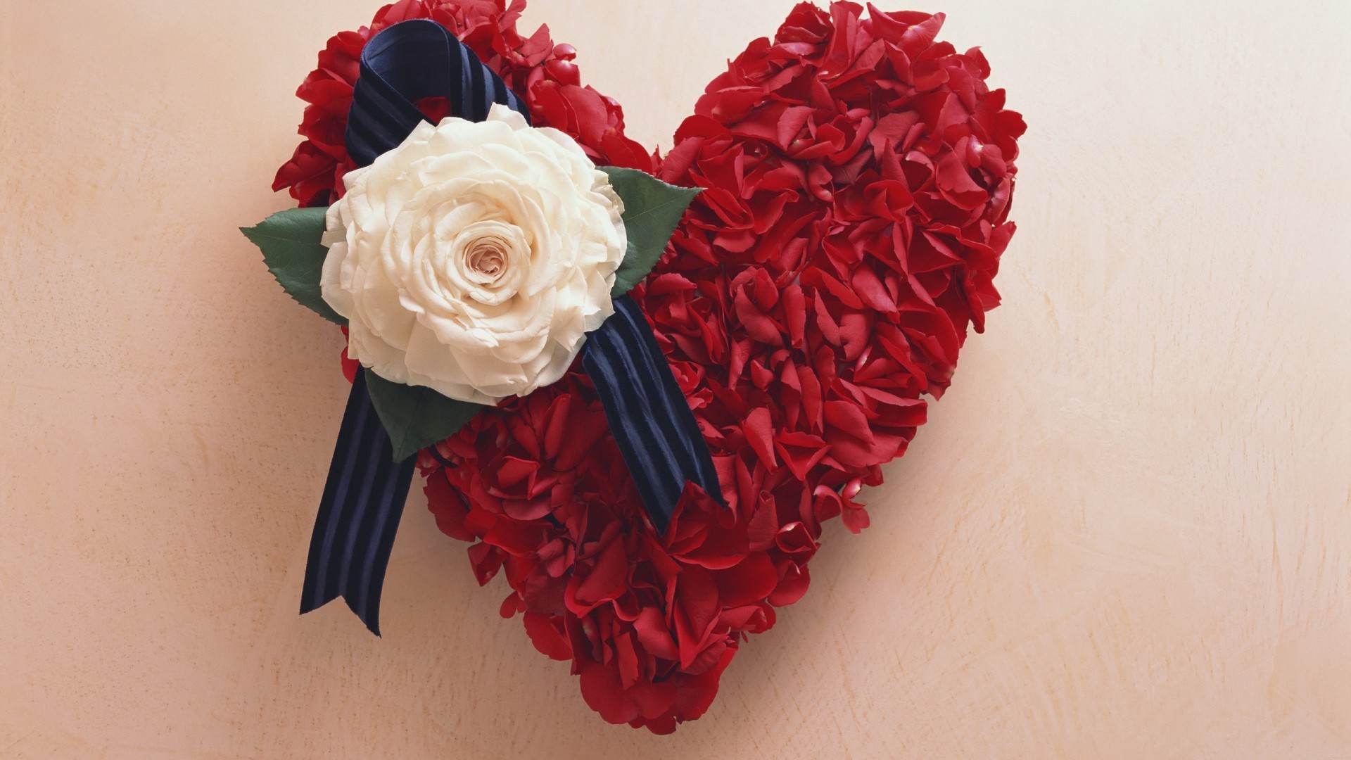 coeurs rose amour fleur romance mariage cadeau romantique pétale décoration floral vacances bouquet belle